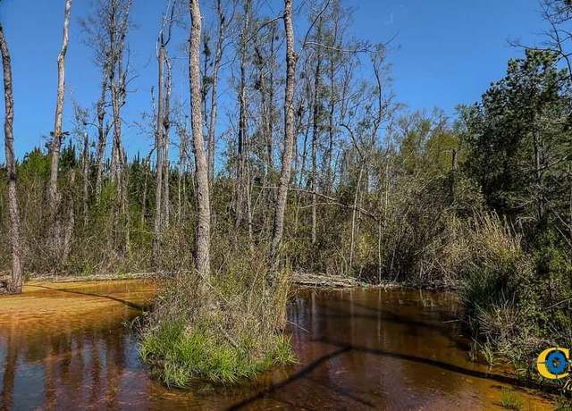 Property at 2919 Porter Rd, Cassatt, SC 29032