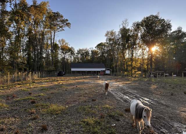 Property at 00 Sullivans Ferry Rd, Cottageville, SC 29435