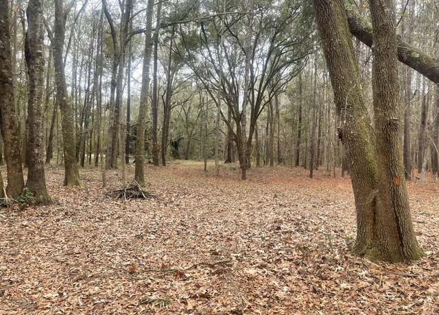 Property at 1661 Blues Ln, Edisto Island, SC 29438