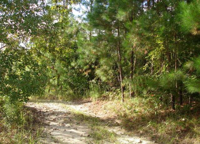 Property at 6 Parkers Ferry Rd, Adams Run, SC 29426