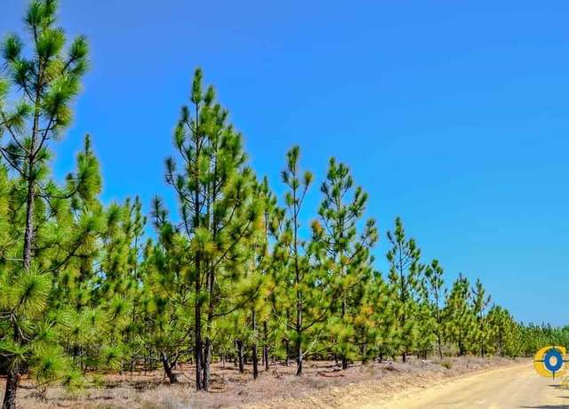 Property at 5659 State Rd S-28-31, Bethune, SC 29009