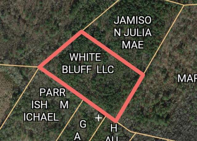 Property at 0 Calhoun Rd, Branchville, SC 29432