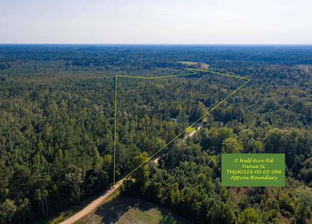 Property at 0 Half Acre Ct, Vance, SC 29163