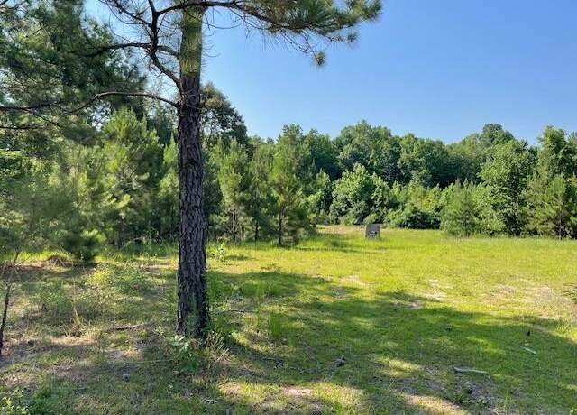 Property at 0 Old River Rd, Elloree, SC 29047