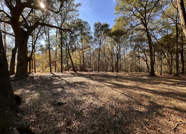 Property at 0 Cane Slash Rd, Johns Island, SC 29455