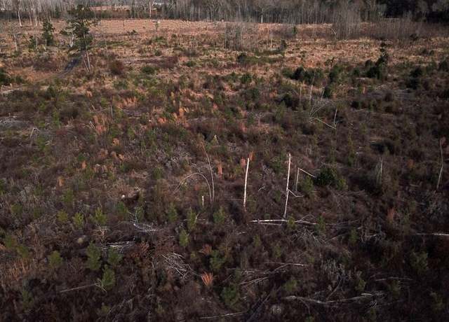 Property at 00 Hampton Ave, Blackville, SC 29817