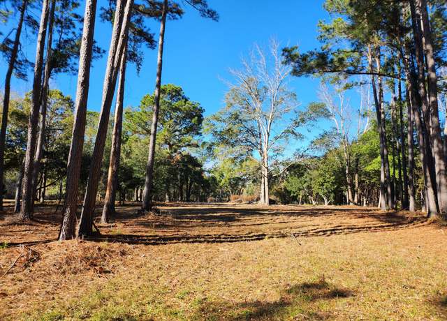 Property at 7997 Doar Rd Lot C-1, Awendaw, SC 29429