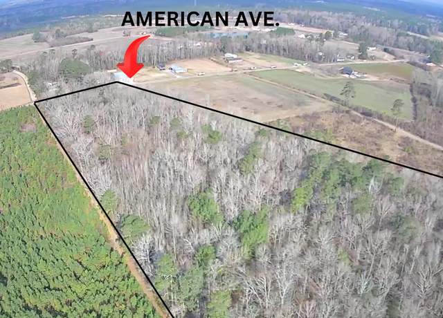 Property at Tbd American Ave, Turbeville, SC 29162