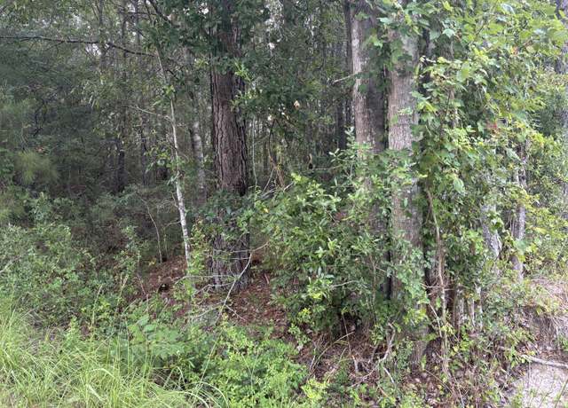 Property at 0 Walker Rd, Ridgeville, SC 29472