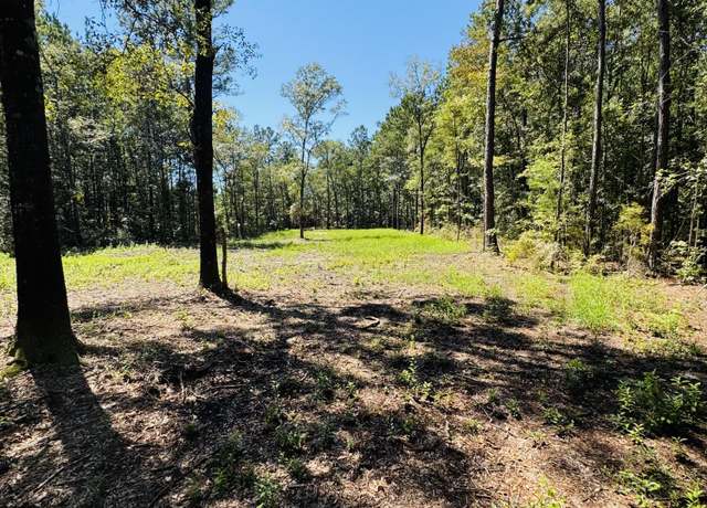 Property at 00 Mcdanieltown Rd, Ridgeville, SC 29472