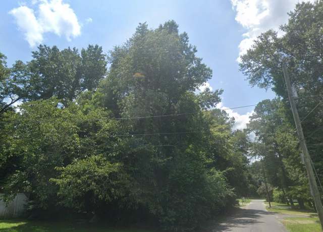 Property at 0 Off Rinelan Rd, Orangeburg, SC 29115