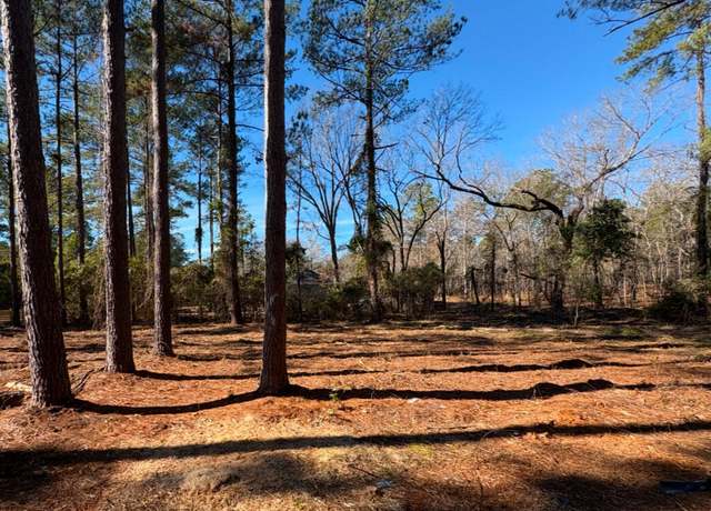 Property at 1030 Deer Trail Rd, Santee, SC 29142