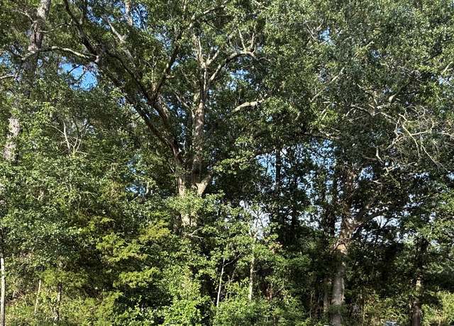 Property at 0 Hidden Dr, Orangeburg, SC 29115