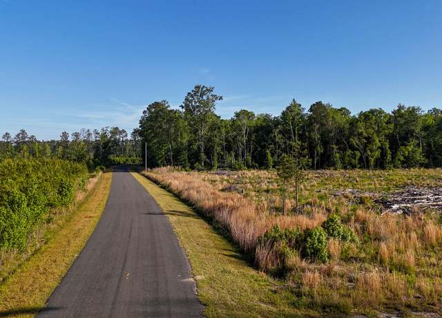 Property at 0 Carters Ford Rd, Walterboro, SC 29488