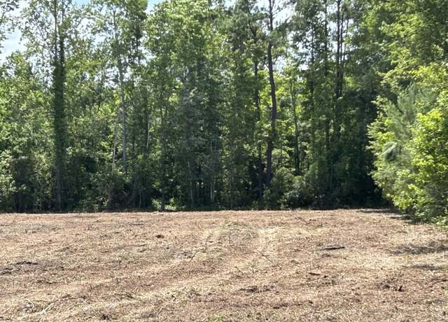 Property at 1 Ace Basin Hwy, Jacksonboro, SC 29452