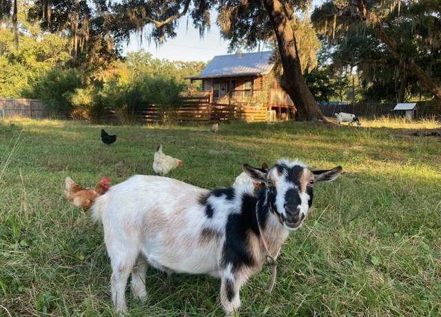 Property at 1661 Lonnie Taylor Ln, Wadmalaw Island, SC 29487, 1 bed, 1 bath
