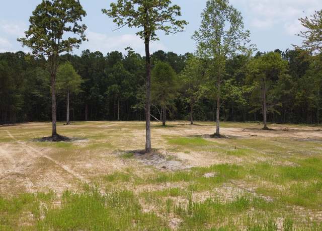Property at 4 Steed Creek Rd, Huger, SC 29450