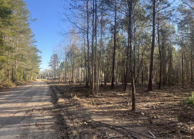 Property at 00 Praxis Ct, Cottageville, SC 29435