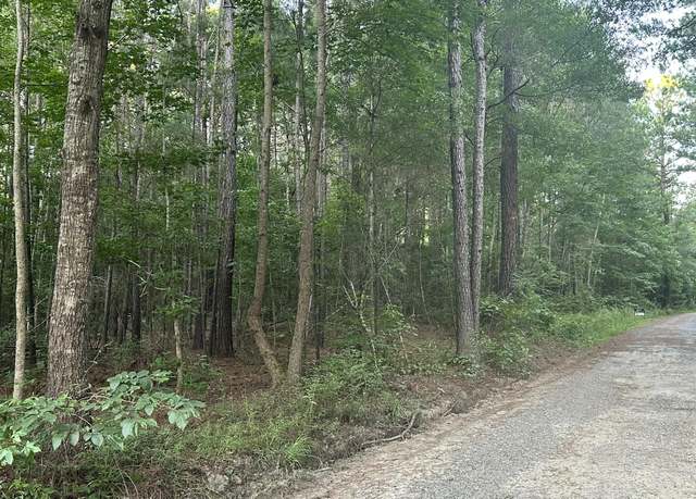 Property at 0 Pearl Acres Ln, Huger, SC 29450