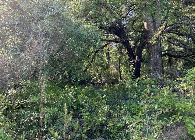 Property at Tbd Black Ave, Bamberg, SC 29003