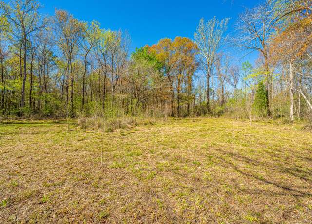Property at 0 Nehemiah, Moncks Corner, SC 29461