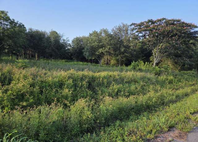 Property at 163 Moonlight Dr, Eutawville, SC 29048