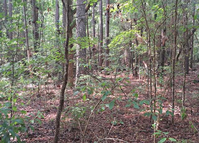 Property at 01 Foreever Eclipse Ln, Cross, SC 29436