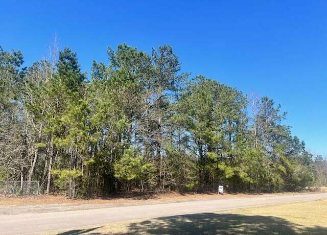Property at 0 Kirkland, Orangeburg, SC 29118
