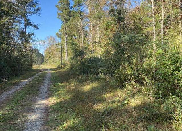 Property at 0 Lawyer Ln, Cross, SC 29436
