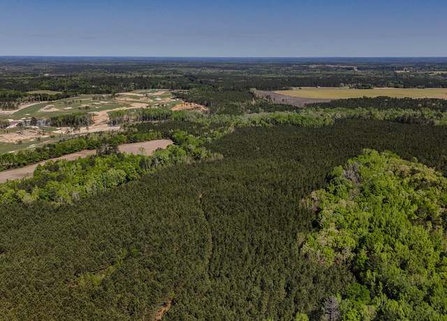Property at 0 Red Hill Rd, Bishopville, SC 29010