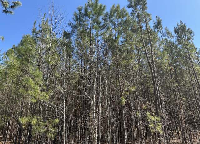 Property at 1726 Highway 61, Ridgeville, SC 29472