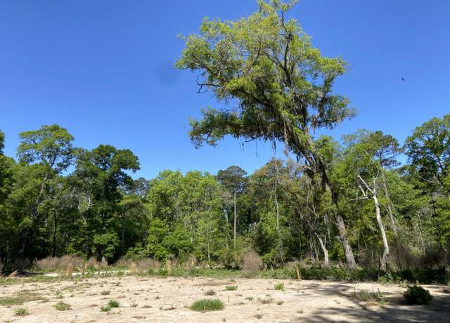 Property at 6079 Josie Ridge Rd, Wadmalaw Island, SC 29487