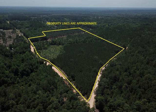 Property at 00 Stacey Bridge Rd, Orangeburg, SC 29118