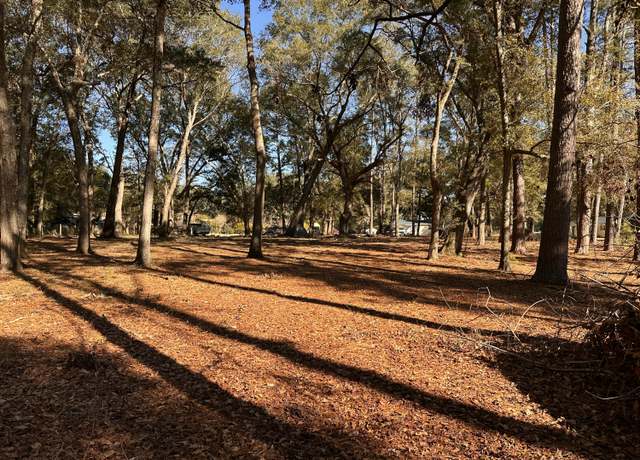 Property at 0 Cane Slash Rd, Johns Island, SC 29455