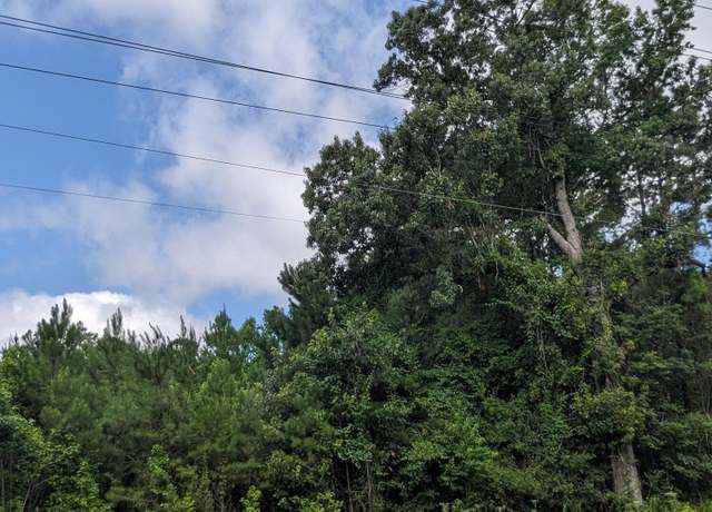 Property at 0 Highway 174, Adams Run, SC 29426