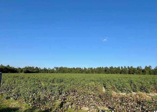 Property at Lot 1 S Hwy 15, Saint George, SC 29477