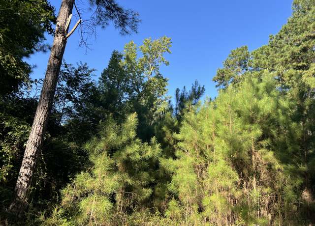 Property at 1060 Quail Path, Santee, SC 29142