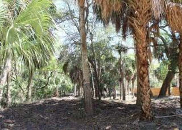 Property at 3104 Fort St, Edisto Beach, SC 29438