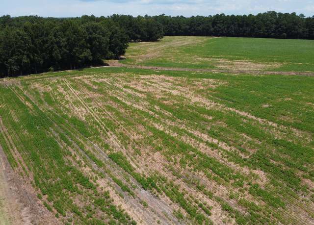 Property at 0 Black River Rd, New Zion, SC 29111