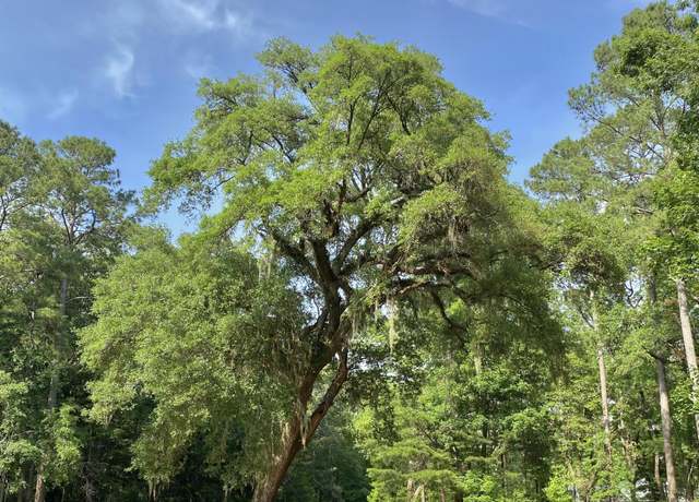 Property at Lot 8 Buttonbush Dr, Ravenel, SC 29470