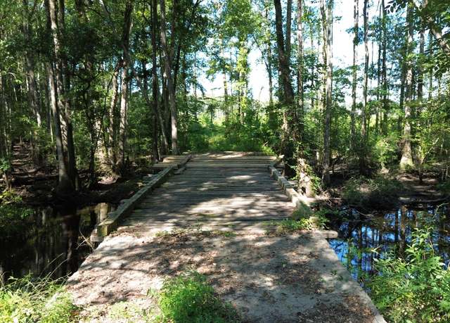 Property at 0 Lowcountry Hwy, Ruffin, SC 29475