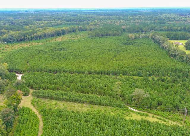 Property at 0 Charleston Hwy, Walterboro, SC 29488