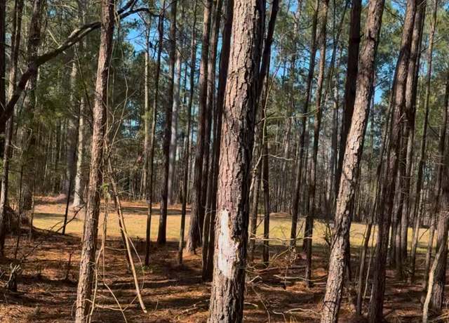 Property at 450 River Bluff Trl, Saint Stephen, SC 29479