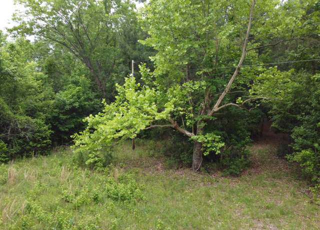 Property at 0 Liberty Church Rd, Manning, SC 29102