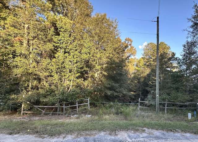 Property at 214 Sparklewood Dr, Orangeburg, SC 29115