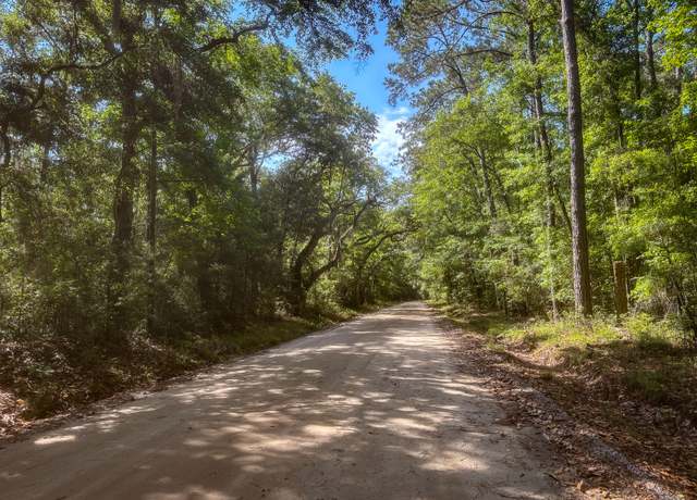 Property at 2109 Leadenwah Dr, Wadmalaw Island, SC 29487