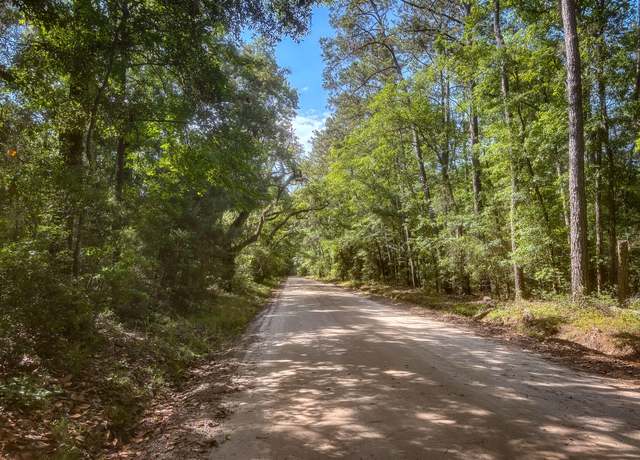 Property at 2127 Leadenwah Dr, Wadmalaw Island, SC 29487