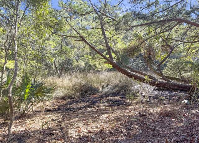 Property at 5528 Chisolm Rd, Johns Island, SC 29455