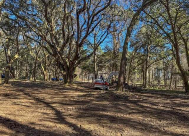 Property at 254 Deer Track Dr, Edisto Island, SC 29438