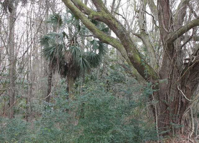 Property at 0 Highway 162, Hollywood, SC 29449